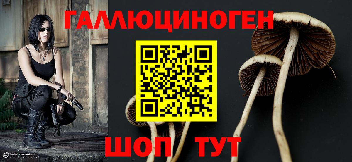 Галлюциногенные грибы ЛСД  Вход с VPN  продажа наркотиков  Россия 