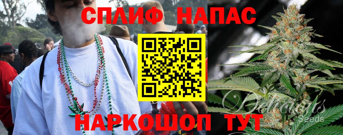 Каннабис план Россия